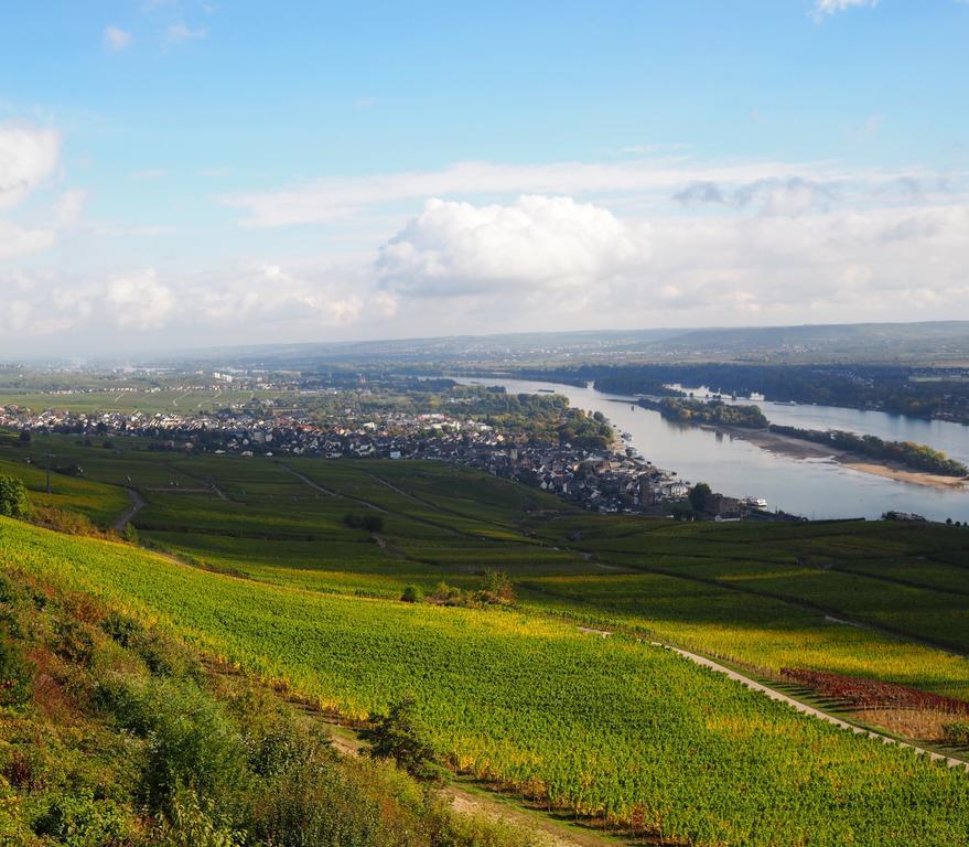 Weingut Stahl